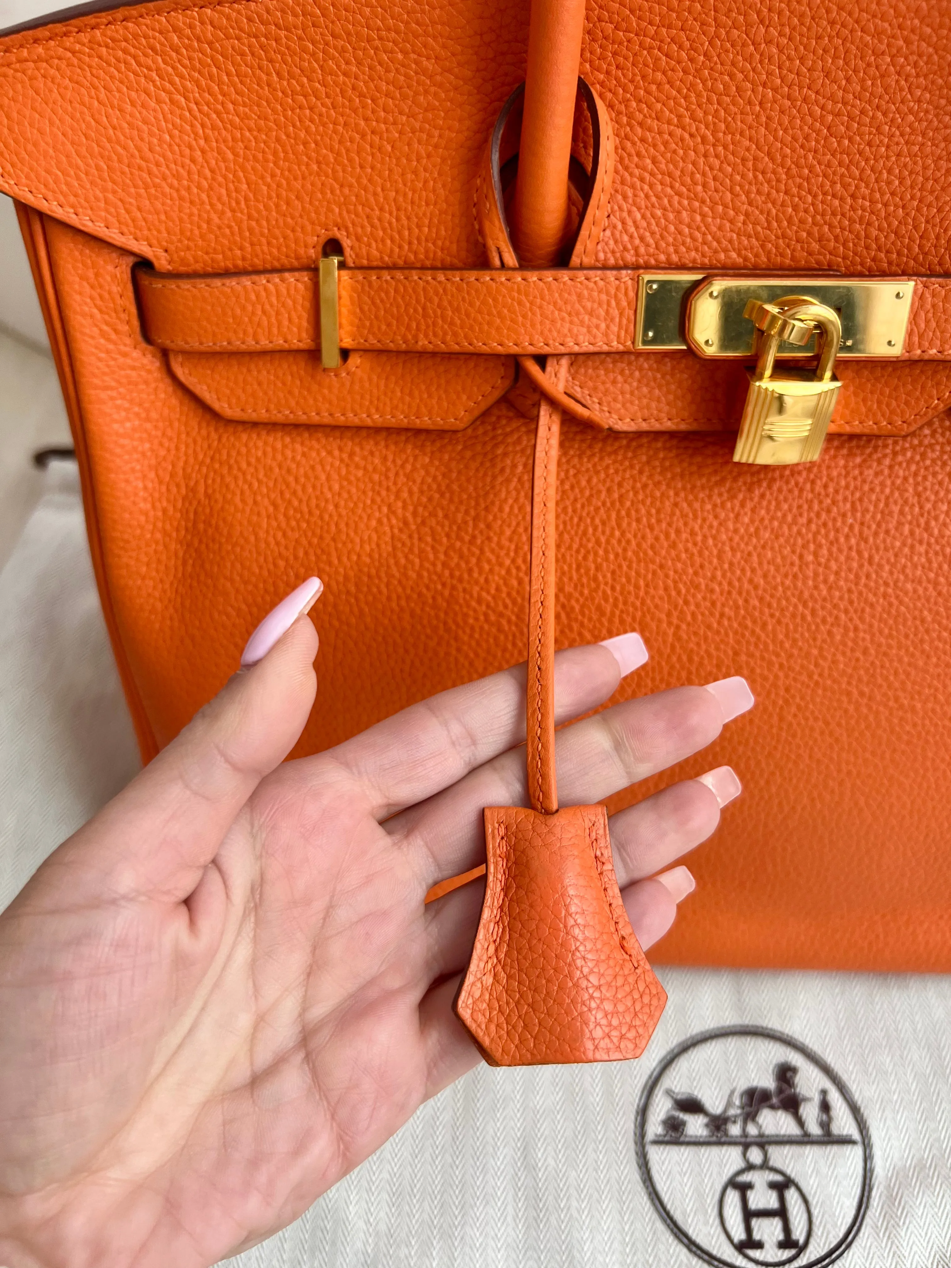 Hermes Birkin Bag